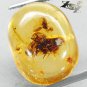 8.55 CT.Natural Oval 15.5*20 mm. Bee Fossil Inside Madagascar Yellow Copal Gems