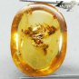 8.55 CT.Natural Oval 15.5*20 mm. Bee Fossil Inside Madagascar Yellow Copal Gems
