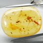 9.11 CT.Natural Oval 17*23 mm. Perfect Moth Ant Fossils Madagascar Yellow Copal