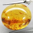 9.6 CT.Natural Oval 17.5*20.5 mm. Insect Plant Fossils Madagascar Yellow Copal