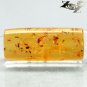 19.86 CT.Natural Cylinder 13*31 mm. Perfect Mosquito Insect Fossil Yellow Copal