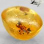 5.28 CT.Natural Oval 13*16 mm.Perfect Moth Fossil Inside Madagascar Yellow Copal