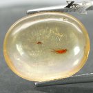 4.36 CT.Natural Oval 14*17 mm Perfect Moth Fossil Inside Madagascar Yellow Copal
