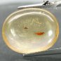 4.36 CT.Natural Oval 14*17 mm Perfect Moth Fossil Inside Madagascar Yellow Copal