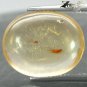 4.36 CT.Natural Oval 14*17 mm Perfect Moth Fossil Inside Madagascar Yellow Copal