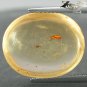 4.36 CT.Natural Oval 14*17 mm Perfect Moth Fossil Inside Madagascar Yellow Copal