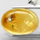 3.61 CT.Natural Oval 11.5*16 mm. Perfect Mosquito Fossil Madagascar Yellow Copal