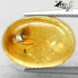 3.61 CT.Natural Oval 11.5*16 mm. Perfect Mosquito Fossil Madagascar Yellow Copal