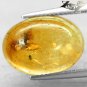 3.61 CT.Natural Oval 11.5*16 mm. Perfect Mosquito Fossil Madagascar Yellow Copal