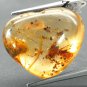 8.23 CT.Natural Heart 18*21 mm. Perfect Mayfly Insect Fossil Brandy Yellow Copal