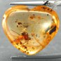 8.23 CT.Natural Heart 18*21 mm. Perfect Mayfly Insect Fossil Brandy Yellow Copal