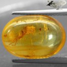 5.13 Ct.Natural Oval 12*17 mm Perfect Flea Fossil Inside Yellow Madagascar Copal