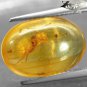 5.13 Ct.Natural Oval 12*17 mm Perfect Flea Fossil Inside Yellow Madagascar Copal