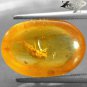 5.13 Ct.Natural Oval 12*17 mm Perfect Flea Fossil Inside Yellow Madagascar Copal