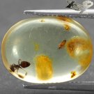 4.54 Ct.Natural Oval 13.5*18 mm. Perfect Ant Insect Fossils Inside Yellow Copal
