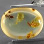 4.54 Ct.Natural Oval 13.5*18 mm. Perfect Ant Insect Fossils Inside Yellow Copal