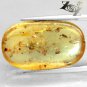 15.34 CT.Natural Oval 16 * 24 mm. Perfect Insects Fossils Brandy Yellow Copal