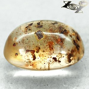 4.02 CT.Natural Oval 11*15 mm.Moth Fly Insect Fossil Inside Yellow Madagas Copal