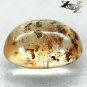 4.02 CT.Natural Oval 11*15 mm.Moth Fly Insect Fossil Inside Yellow Madagas Copal