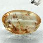 4.02 CT.Natural Oval 11*15 mm.Moth Fly Insect Fossil Inside Yellow Madagas Copal