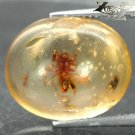 5.8 Ct.Natural Oval 14*17 mm. Perfect Spider Fossils Inside Brandy Yellow Copal
