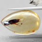4.82 CT.Natural Pear 13*20.5 mm. Perfect Water Bug Fossil Brandy Yellow Copal æ¯å·´