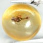 6.99 CT.Natural Round 14 mm. Perfect Insect Fossil Inside Brandy Yellow Copal