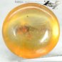 6.99 CT.Natural Round 14 mm. Perfect Insect Fossil Inside Brandy Yellow Copal
