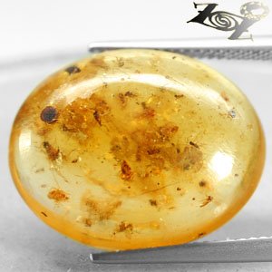 8.3 Ct.Natural Oval 18*22 Flying Insect Mosquito Fossil Madagascar Yellow Copal