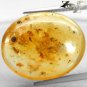 8.3 Ct.Natural Oval 18*22 Flying Insect Mosquito Fossil Madagascar Yellow Copal