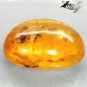 20.72 Ct.Natural Oval 21*25mm Moth Mayfly Fossils Inside Yellow Madagascar Copal