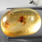 14.96 Ct.Natural Oval 17*22 mm. Perfect Big Spider Fossil Brandy Yellow Copal