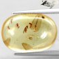 5.45 CT.Natural Oval 13.5*20mm. Perfect Insect Fossil Inside Brandy Yellow Copal
