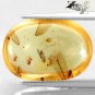 5.45 CT.Natural Oval 13.5*20mm. Perfect Insect Fossil Inside Brandy Yellow Copal