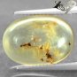4.18 CT.Natural Oval 12*17 mm. Perfect Insect Fossil Inside Madagas Yellow Copal