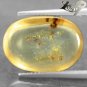 4.18 CT.Natural Oval 12*17 mm. Perfect Insect Fossil Inside Madagas Yellow Copal
