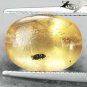 3.97 CT.Natural Oval 11*15 mm. Perfect Moth Insect Fossil Inside Yellow Copal