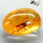 8.91 Ct.Natural Oval 15*19 mm Ant Mosquito Fossil Inside Yellow Madagascar Copal
