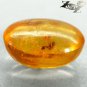 8.91 Ct.Natural Oval 15*19 mm Ant Mosquito Fossil Inside Yellow Madagascar Copal
