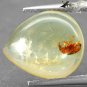 2.47 CT.Natural Pear 12.5*14.5 mm. Perfect Beetle Fossils Inside Brandy Copal