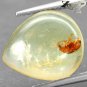 2.47 CT.Natural Pear 12.5*14.5 mm. Perfect Beetle Fossils Inside Brandy Copal