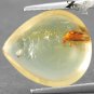 2.47 CT.Natural Pear 12.5*14.5 mm. Perfect Beetle Fossils Inside Brandy Copal