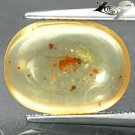 2.94 CT. Natural Oval 10.5*14mm Perfect Insect Fossil Inside Brandy Yellow Copal