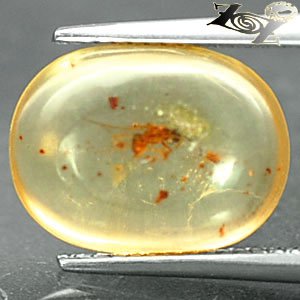 2.94 CT. Natural Oval 10.5*14mm Perfect Insect Fossil Inside Brandy Yellow Copal