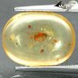 2.94 CT. Natural Oval 10.5*14mm Perfect Insect Fossil Inside Brandy Yellow Copal