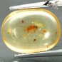 2.94 CT. Natural Oval 10.5*14mm Perfect Insect Fossil Inside Brandy Yellow Copal