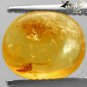 Natural Oval 9 * 11 mm. Insect Fossils Inside Yellow Madagascar Copal 1.44 Ct.