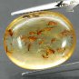 5.68 CT.Natural Oval 14*17.5 mm. Mayfly Fossils Inside Madagascar Yellow Copal