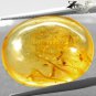9.92 CT.Natural Oval 18*21 mm. Mayfly Insect Fossils inside Brandy Yellow Copal