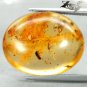 12.07 CT.Natural Oval 19*23 mm. Mosquito Spider Insect Fossils Yellow Copal Gems